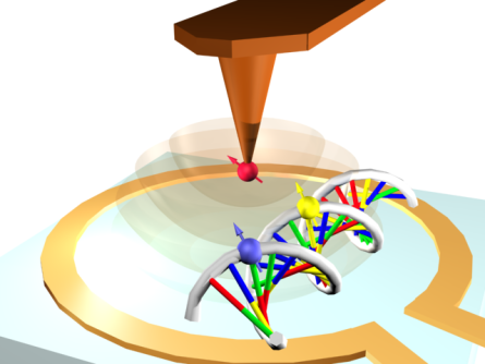 Artistic depiction of a spin based quantum sensor for unravelling structure of single biomolecules. 