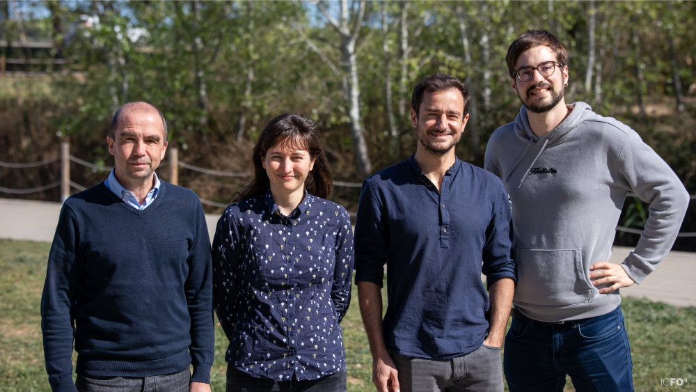 Researchers on a lawn in front of a row of trees